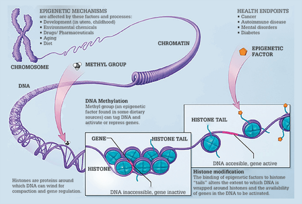 Keeping up with Precision Medicine