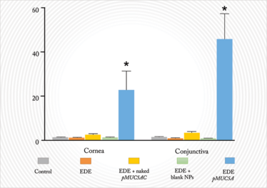 0814-301-fig.6