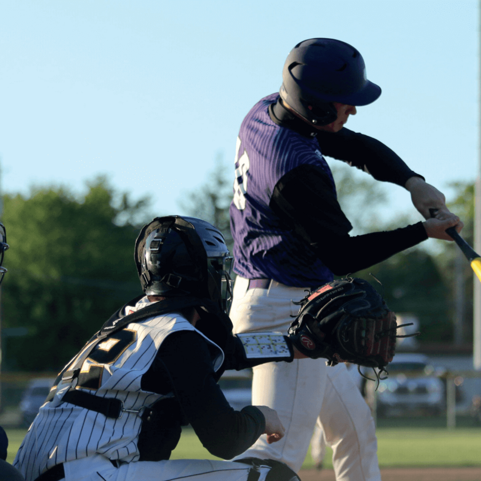 New Research Finds It Possible to Predict Batting Performance in Baseball  Players