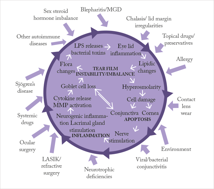 Meeting Dry Eye’s Unmet Needs - The Ophthalmologist