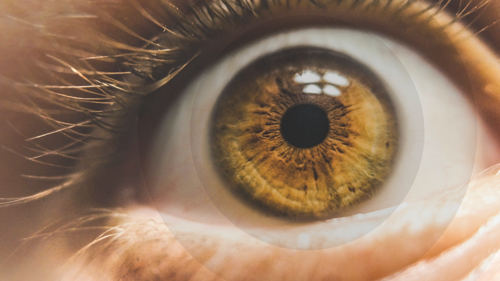 0625-012-AI-News-Parkinsons-Impact-on-Corneal-Nerves.png