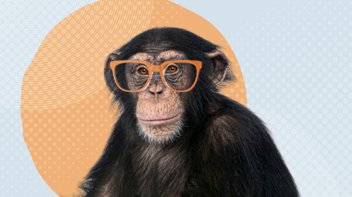 0725-003-AI-News-Translating-Myopia-Mechanisms.png